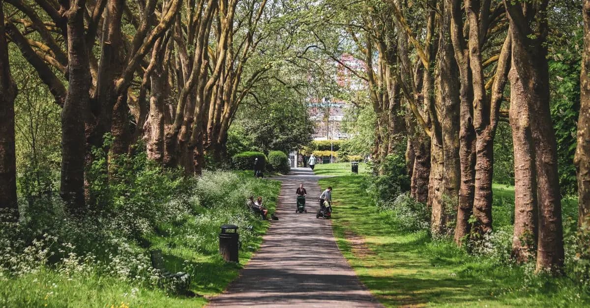 Discover the Best Fun Activities for Families in the UK