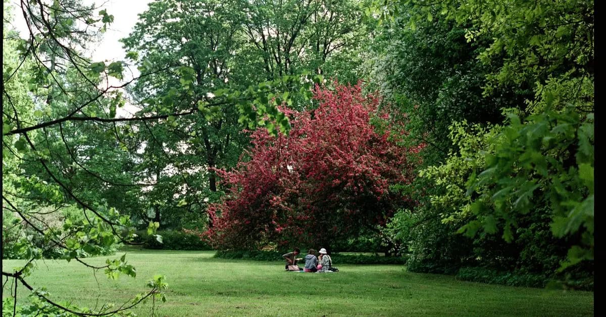 Top 10 Fun Activities for Families in the UK