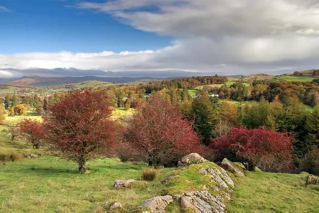 10 Fun Activities to Enjoy with Your Family in the UK