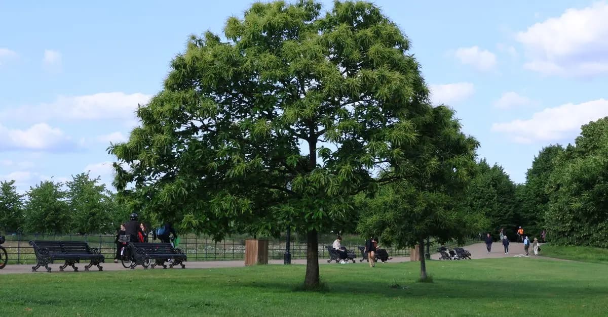 10 Unique Family Activities to Try in the UK