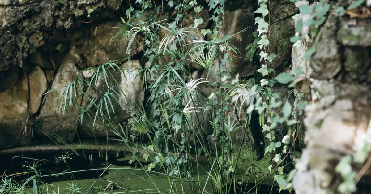 Uncovering the Best Hidden Gems in London