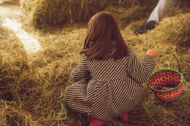10 Fun Activities to Experience with Your Family
