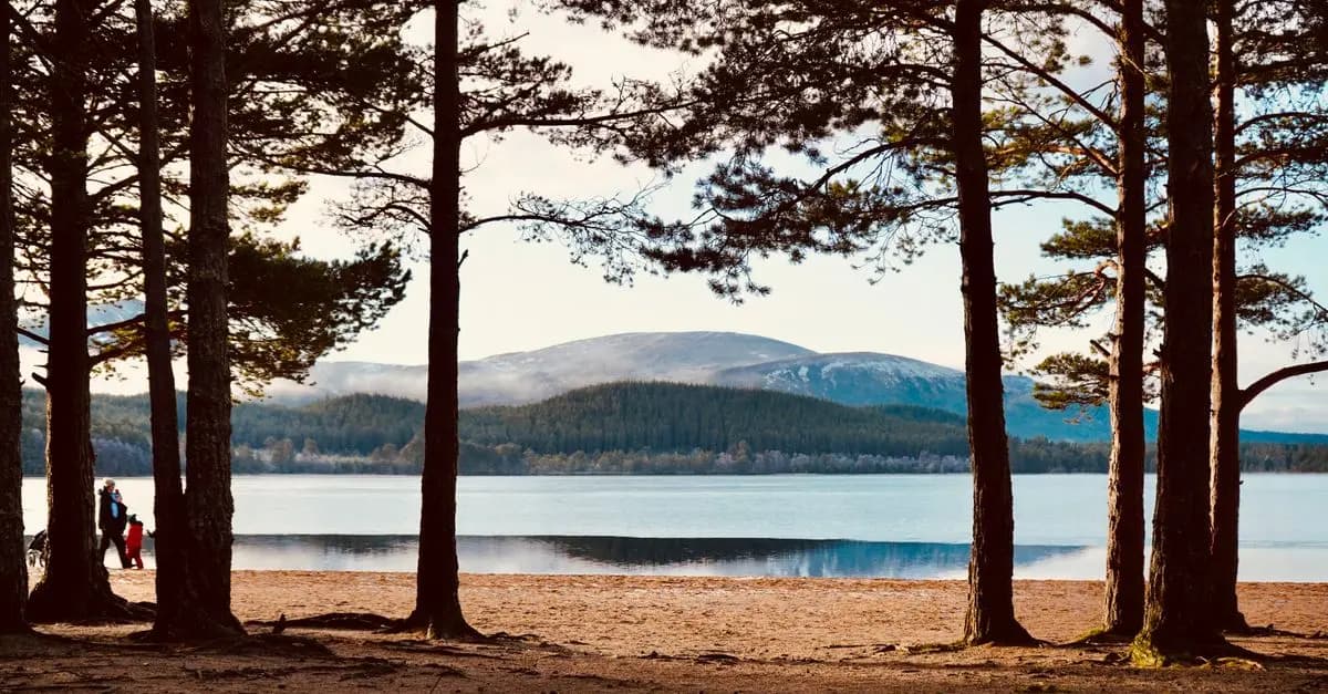 10 Must-Try Fun Activities for Families in the UK
