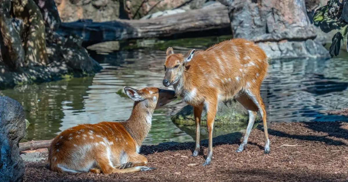 10 Unique Fun Activities to Try During Your Next Family Outing