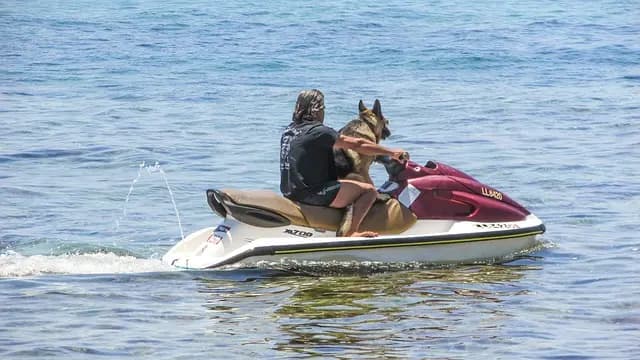 Les Meilleurs Parcs d'Aventure à Visiter au Royaume-Uni