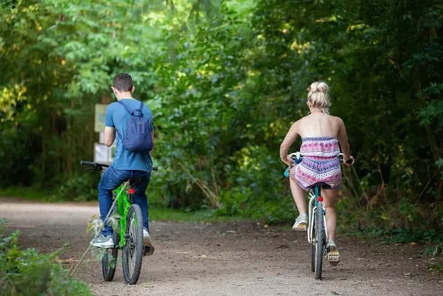 The Best Fun Activities for Families to Enjoy Together