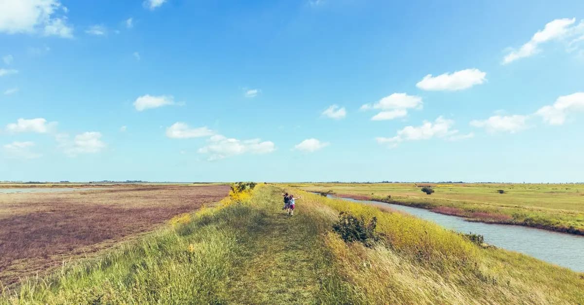 10 Activités Amusantes à Faire en Famille au Royaume-Uni