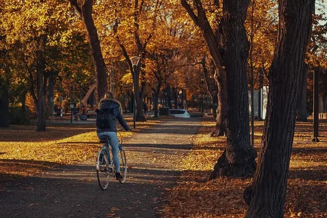 10 Unique Fun Activities for Families to Experience