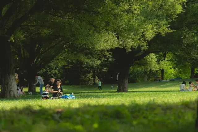 Comment Choisir les Meilleures Activités Fun pour Votre Famille
