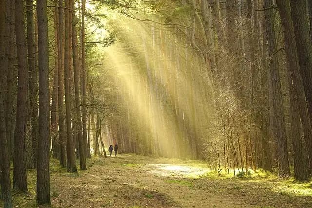 Top 10 Unique Outdoor Adventures to Experience in the UK