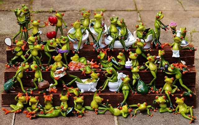 Comment Organiser une Soirée Jeux Réussie