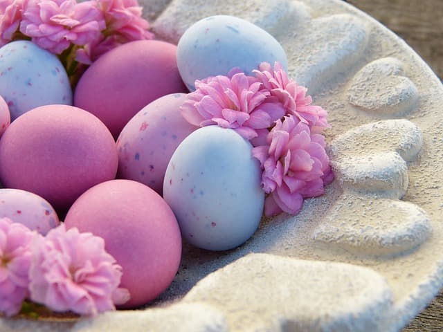 10 Exciting Fun Activities to Try with Your Family