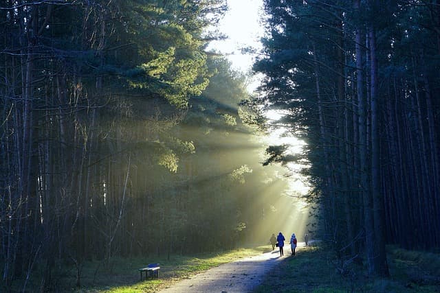 Exploring the Best Adventure Parks in the UK