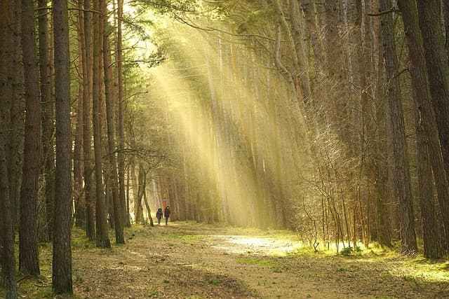 10 Engaging Outdoor Activities for Families in the UK