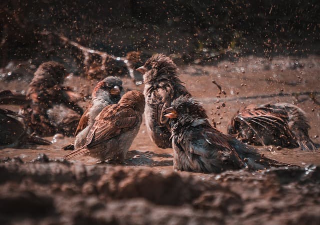 10 Fun Activities to Try with Friends in the UK